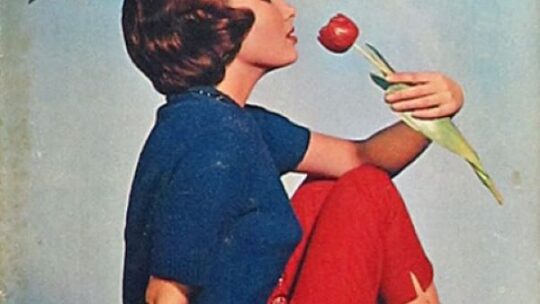 Inpakken en…bladeren