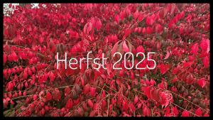 Herfst