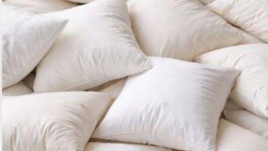 History repeats…‘t is pet