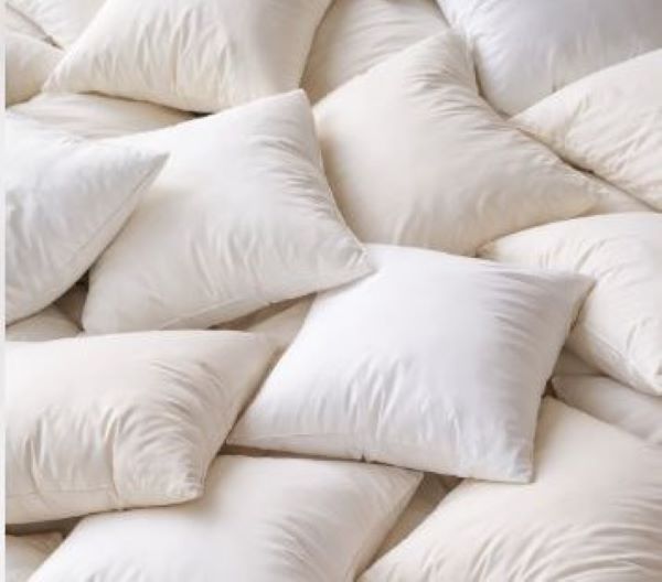 History repeats…‘t is pet