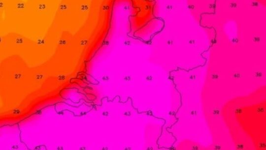 Vandaag is Roze!