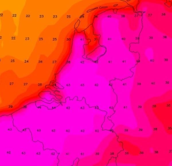 Vandaag is Roze!